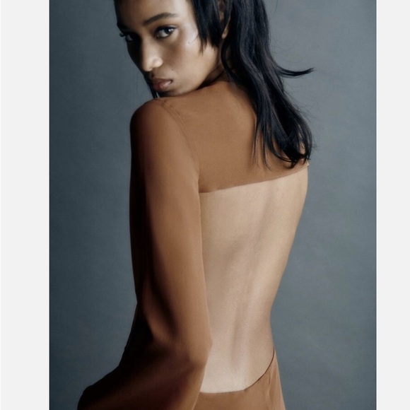 Zara Brown Backless Maxi Dress - Picture 3 of 4